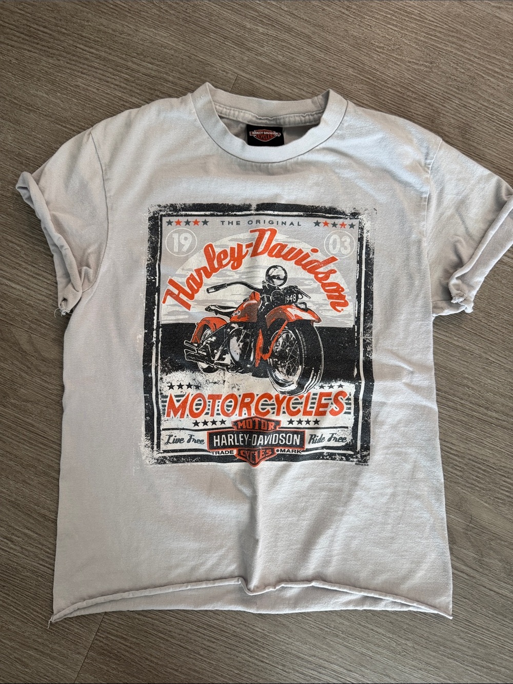 Harley-Davidson Light Gray Tee with Orange & Black Motorcycle Graphic